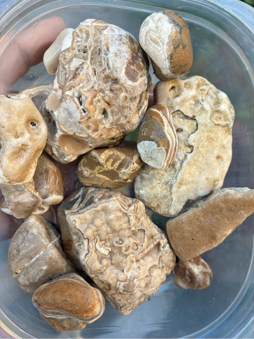 1.4 lbs of Naturally Sea Tumbled rocks #stones #minerals - Picture 2 of 15